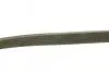 Ремень генератора VW T4/Caddy 1.9D/TD 90-03/Toyota Corolla/Auris 1.4D 06-14/Kia Rio 1.25 17- (6PK923) BOSCH 1 987 947 938 (фото 3)