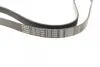Ремень генератора Ford Connect (-AC)/Opel Combo 1.2/1.4i -01 (6PK1460) BOSCH 1 987 947 948 (фото 2)