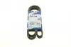 Ремень генератора поликлиновый VW T5/Amarok 2.0TDI 09-/Ford Focus/Kuga/Galaxy 98-/Opel Astra J/Insignia A 1.6 08- (6PK1555) BOSCH 1 987 947 949 (фото 1)