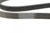Ремінь генератора Opel Vectra 1.8-2.2 86-03/Audi A6 2.5TDI 94-97/Chevrolet Lacetti 1.8 05- (6PK1725) BOSCH 1 987 947 952 (фото 3)