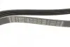 Ремень генератора Fiat Scudo/Citroen Berlingo/VW Golf IV 1.8/1.9TDI 97- (6PK1660) BOSCH 1 987 947 978 (фото 2)
