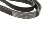 Ремінь генератора Mazda 3 1.3/1.6 03-09 (6PK2013) BOSCH 1 987 947 994 (фото 3)