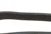 Ремінь генератора Mazda 3 1.3/1.6 03-09 (6PK2013) BOSCH 1 987 947 994 (фото 4)