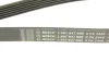 Ремень генератора MB E-class (W211) 5.5 02-08 (M113)/Land Rover Range Rover 5.0SCV8 13- (6PK2445) BOSCH 1 987 947 998 (фото 5)
