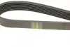 Ремень генератора Renault Master/Opel Movano 2.5 dCi 03-(-AC) (7PK1148) BOSCH 1 987 948 321 (фото 4)
