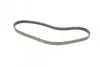 Ремень генератора Opel Agila 1.0/1.2 08-14/Suzuki Swift 1.2 10- (4PK760) BOSCH 1 987 948 337 (фото 2)