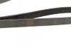 Ремень генератора Citroen Berlingo/Jumpy/Fiat Scudo/Peugeot Partner 1.9D 98-/Hyundai Accent 02-05 BOSCH 1 987 948 353 (фото 2)
