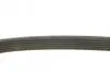 Ремень генератора Peugeot 206/306/4007/406/4007/Citroen C5 1.9TD/2.0/2.2HDI 96- (6PK1743) BOSCH 1 987 948 360 (фото 3)