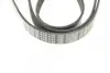 Ремень генератора Peugeot 206/306/4007/406/4007/Citroen C5 1.9TD/2.0/2.2HDI 96- (6PK1743) BOSCH 1 987 948 360 (фото 5)