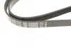 Ремень генератора Renault Kangoo 1.5 dCi (5PK1135) BOSCH 1 987 948 410 (фото 5)