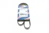 Ремень генератора Opel Movano/Renault Master 2.5D/2.8DTI 98-01/Megane/Laguna 1.4-1.6 03-08 (5PK1195) BOSCH 1 987 948 413 (фото 1)