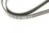 Ремень генератора Opel Movano/Renault Master 2.5D/2.8DTI 98-01/Megane/Laguna 1.4-1.6 03-08 (5PK1195) BOSCH 1 987 948 413 (фото 5)