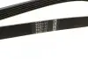 Ремень генератора Ford Focus 1.8 TDCi 05-12/Skoda Octavia 1.4 i 99-01 (6PK1520) BOSCH 1 987 948 425 (фото 2)