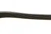 Ремень генератора Ford Focus 1.8 TDCi 05-12/Skoda Octavia 1.4 i 99-01 (6PK1520) BOSCH 1 987 948 425 (фото 4)