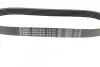 Ремень генератора Citroen Berlingo/Fiat Ducato/Peugeot Boxer/Expert 1.9 D/TD 96-03 (6PK730) BOSCH 1 987 948 428 (фото 2)
