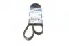 Ремінь генератора Renault Kangoo 1.5 dCi 03- (6PK1130) BOSCH 1 987 948 440 (фото 1)