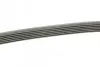 Ремень генератора Opel Astra J/Corsa D 1.7CDTI 09-15/Ford Focus 1.8TDCi 98-04 (6PK1715) BOSCH 1 987 948 453 (фото 2)
