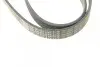 Ремень генератора Opel Astra J/Corsa D 1.7CDTI 09-15/Ford Focus 1.8TDCi 98-04 (6PK1715) BOSCH 1 987 948 453 (фото 3)
