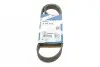 Ремінь генератора поліклиновий Peugeot Partner/307/508 02-/Citroen Berlingo/C2/C3/C4/C5 1.6 HDi 04- (6PK976) BOSCH 1 987 948 486 (фото 1)