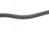 Ремінь генератора Smart Fortwo 0.8CDI 04- (5PK768) BOSCH 1 987 948 489 (фото 3)