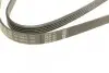 Ремінь генератора VW Passat B5/Audi A4/A6 1.9TDI 98-05/Skoda Superb 1.9/2.0TDI 01-08 (5PK1432) BOSCH 1 987 948 491 (фото 3)