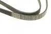 Ремінь генератора VW Passat B5/Audi A4/A6 1.9TDI 98-05/Skoda Superb 1.9/2.0TDI 01-08 (5PK1432) BOSCH 1 987 948 491 (фото 4)