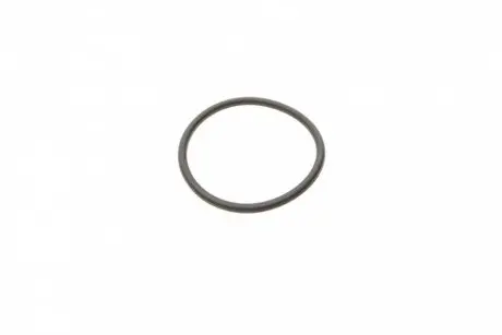 Елемент насосу Common Rail BOSCH F 00R 0P0 166