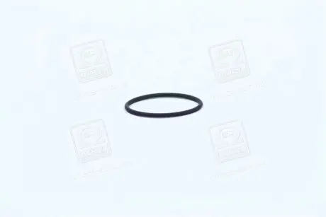 Ущільнювальне кільце BOSCH F00RJ00220