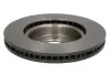 Тормозной диск BREMBO 09.8873.31 (фото 2)
