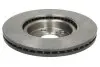 Тормозной диск BREMBO 09.9817.31 (фото 2)