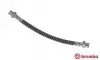 Тормозной шланг BREMBO T30 065 (фото 1)