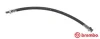 Фото 1 - гальмівний шланг BREMBO T50045 Гальмівний шланг BREMBO T50045 (фото 1)