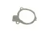 Помпа води Ford Fiesta II/Escort III/IV 1.6D 84-90 (B/B) (9 лоп.) BUGATTI PA0239 (фото 9)