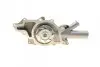 Насос воды MB S-class (W220)/E-class (W211/S211) 3.2 CDI 02-09 (OM648) BUGATTI PA10024 (фото 2)