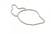 Насос воды MB E-class (W210/S210) 3.2CDI 99-03 (B/B) (8 лоп) BUGATTI PA10037 (фото 9)