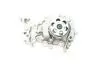 Насос воды Renault Clio II/III/IV/Logan II 1.2/1.2 16V 00-/Dacia Sandero 1.2 08- BUGATTI PA10075 (фото 3)