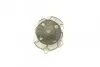 Насос воды Opel Vectra C 2.8 V6 05-08/Insignia A 2.8 V6/Suzuki Grand Vitara 3.2 4WD 08-17 (R/B)(6л.) BUGATTI PA10105 (фото 5)