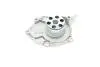 Насос воды Renault Megane/Laguna/Scenic/Nissan Primera 1.9 dCi 02- BUGATTI PA10204 (фото 6)