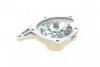 Насос воды Renault Kangoo/Megane/Scenic/Laguna/Logan/Clio/Nissan Qashqai/Note 1.5dCi 05-(B/B)(10лоп) BUGATTI PA10209 (фото 3)
