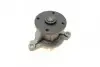 Насос воды Hyundai i20/i30/Kia Ceed II/III/Rio IV 1.4/1.4MPI 15- (R/B) (6 лоп) BUGATTI PA10311 (фото 4)