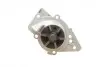Насос води Citroen Xantia/Xsara/Peugeot 306/406 1.8i 16V 95-03 (20z) (B/B) (6 лоп) BUGATTI PA5505 (фото 2)