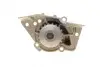 Насос води Citroen Xantia/Xsara/Peugeot 306/406 1.8i 16V 95-03 (20z) (B/B) (6 лоп) BUGATTI PA5505 (фото 6)