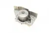 Насос води Citroen Xantia/Xsara/Peugeot 306/406 1.8i 16V 95-03 (20z) (B/B) (6 лоп) BUGATTI PA5505 (фото 8)