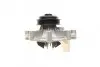 Помпа води Citroen Jumper/Peugeot Boxer 2.5D/TD/TDI/4x4 96-02 (B/B) (8 лоп) BUGATTI PA5508 (фото 8)