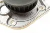 Насос воды Fiat Doblo 1.2 01-05/Panda/Punto 1.1/1.2 04- (24z) (B/B) (8 лоп.) BUGATTI PA5942 (фото 5)