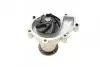 Насос води MB C-class (W202/S202)/E-class (W210) 200D/220D/TD OM604 93-01 (B/B) (8 лоп) BUGATTI PA6814 (фото 3)