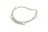 Насос воды Citroen C4-C8/Jumpy 2.0-2.2HDi/Fiat Scudo 2.0D/Ford Focus 2.0TDCI 01- (B/B)(8лоп) BUGATTI PA7409 (фото 8)