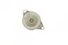 Насос воды Seat Cordoba/Ibiza 93-09/Skoda Octavia/VW Caddy/Golf/Polo 1.4i/1.6i 91-04 BUGATTI PA8704 (фото 4)