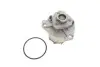 Насос води VW Golf/Jetta/Passat/T4 2.8/2.8-2.9 VR6/3.2 92-06/Ford Galaxy 2.8 VR6 96-01 (R/B) (8 лоп) BUGATTI PA8705 (фото 2)