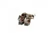 Комплект щіток CARGO BSX172-1734 (фото 4)